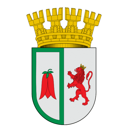 Departamento de Informática, Municipalidad de Arauco